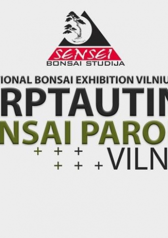 Tarptautinė bonsai paroda - Vilnius 2024